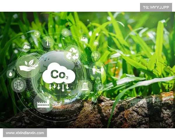 NBA球场全面启动太阳能计划推动绿色气候行动倡议 NBA球场全面启动太阳能计划推动绿色气候行动倡议