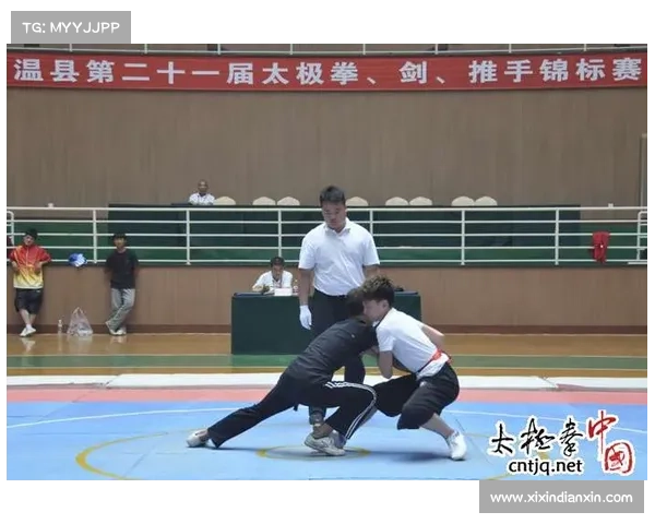 以太极推手运动损伤率低于拳击 研究显示其安全性更高 以太极推手运动损伤率低于拳击 研究显示其安全性更高